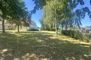 Büro zu mieten in 19374 Domsühl, 2,5 Büroräume auf 60 m² in Domsühl zu vermieten