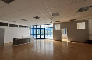 Gewerbeimmobilie kaufen in 55218 Ingelheim, Ca. 12.000 m² Grundstück mit Gewerbeimmobilie zur Entwicklung