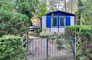 Immobilie mieten in 06774 Plodda, Bungalow im Grünen