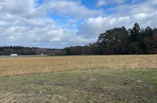 Immobilie kaufen in Herrnwahlthann 688, 93345 Hausen, Gut geschnittene Ackerfläche in 93345 Herrnwahlthann