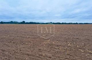 Immobilie kaufen in 19339 Plattenburg, Land- und forstwirtschaftliche Liegenschaft in Plattenburg