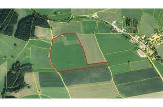 Immobilie kaufen in 86980 Ingenried, Landwirtschaftliches Grundstück/Wiese westl. Schongau