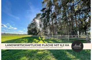 Immobilie kaufen in 16845 Zernitz-Lohm, Großzügige landwirtschaftliche Fläche mit 6,2 ha bei Neustadt (Dosse) mit Weiden und Offenstall
