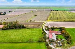 Lager kaufen in 26524 Hagermarsch, Hofgebäude mit Lagerhallen in Theener/Hagermarsch - Deichblick! - Ostfriesische Nordseeküste