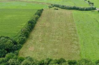 Immobilie kaufen in 27729 Vollersode, 34.142 m² Grünland in Vollersode