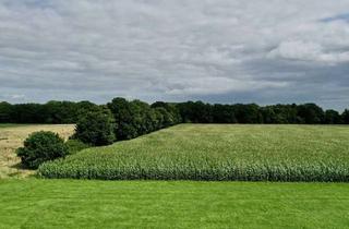 Immobilie kaufen in 27729 Vollersode, 8.351 m² Ackerland und 2.747 m² Grünland in Vollersode