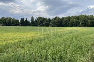 Immobilie kaufen in 33415 Verl, Ackerlandparzelle in Verl