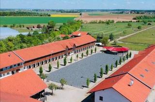 Immobilie mieten in Johann-Sebastian-Bach-Straße 50, 85591 Vaterstetten, Traumobjekt - Reitanlage zu verpachten
