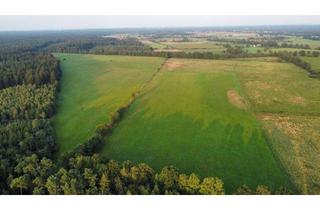 Immobilie mieten in 24628 Hartenholm, Landwirtschaftliche Grünlandflächen zur Verpachtung in 24628 Hartenholm