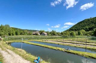 Immobilie kaufen in Vincentiusstraße 10, 34431 Marsberg, Einmaliges Fischzuchtareal mit Betriebsgebäude und Betriebsleiterwohnung in Marsberg