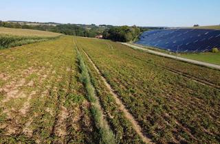 Immobilie kaufen in 84183 Niederviehbach, Ackerland bei Niederviehbach