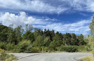 Gewerbeimmobilie kaufen in Gerhard-Weule-Straße, 38644 Goslar, RESERVIERT! 2.688 m² Baugrundstück im stadtnahen Gewerbegebiet