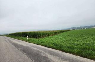 Gewerbeimmobilie kaufen in 86925 Fuchstal, NEU! Landwirte aufgepasst! Gutes Ackerland sucht neuen Eigentümer!