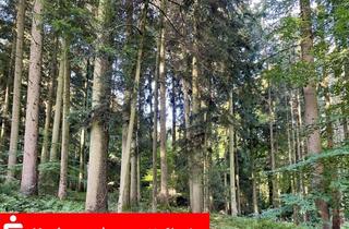 Gewerbeimmobilie kaufen in 93354 Siegenburg, 5,7 ha zusammenhängendes Waldgrundstück bei Siegenburg zu verkaufen