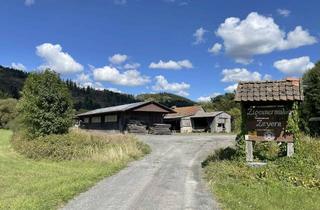 Gewerbeimmobilie kaufen in Zigeunermühle, 96346 Wallenfels, Gewerbefläche und Hallen (ehemaliges Sägewerk)