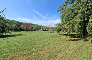 Gewerbeimmobilie kaufen in 73466 Lauchheim, 1,8 ha Ackerland; 1,9 ha Grünland; 0,35 ha idyllisch gelegenes Gartengrundstück in 73466 Lauchheim
