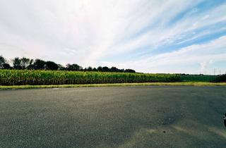 Gewerbeimmobilie kaufen in 41542 Dormagen, Ackerland in Dormagen-Nievenheim