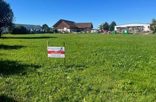 Gewerbeimmobilie kaufen in 88316 Isny, Top Gewerbebauplatz in bester Lage von Isny im Allgäu