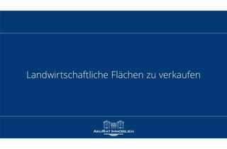 Gewerbeimmobilie kaufen in 86807 Buchloe, Landwirtschaftliche Flächen in Buchloe/Lindenberg