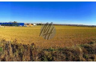 Gewerbeimmobilie kaufen in 63486 Bruchköbel, SCHNELL VERFÜGBAR ✓ Gewerbegrundstück (8.910 m²) zu verkaufen