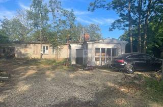 Gewerbeimmobilie kaufen in 02827 Rauschwalde, Ehemaliges Kantinengebäude in Görlitz