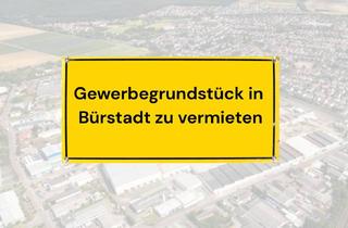 Gewerbeimmobilie mieten in 68642 Bürstadt, Vielseitiges Gewerbegrundstück in Bürstadt mit flexibler Nutzung und Projektierung zu vermieten