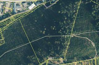 Gewerbeimmobilie kaufen in Hauberg Straßebersbach - Im Sasenberg, 35716 Dietzhölztal, Hauberganteil im Haubergdistrikt Im Sasenberg Straßebersbach