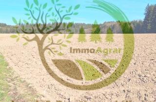 Gewerbeimmobilie mieten in 86946 Vilgertshofen, Verpachte 3,71 ha Ackerland in 86946 Mundraching (LL)