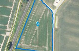 Gewerbeimmobilie kaufen in Gemarkung 098106, Flur 690, 86564 Brunnen, OHNE COURTAGE, 11421 qm Ackerland in Bayern/Donaumoos, Gemarkung 098106 Brunnen zu verkaufen