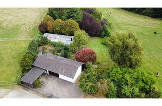 Gewerbeimmobilie kaufen in 53819 Neunkirchen-Seelscheid, Oase der Natur! Liebhabergrundstück mit Lagergebäuden einer ehemaligen Baumschule