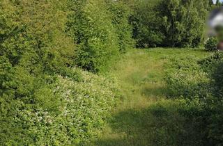 Gewerbeimmobilie kaufen in 41238 Giesenkirchen, Lust auf Garten? Garten- und Freizeitgrundstück in gewachsener Umgebung und ruhiger Lage!