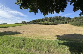 Gewerbeimmobilie kaufen in 93485 Rimbach, Landwirtschaftliche Ackerfläche in der Gemarkung Rimbach zu verkaufen!