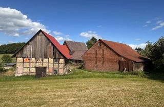 Gewerbeimmobilie kaufen in 32689 Kalletal, Hofstelle mit Ackerland in Kalletal-Bavenhausen