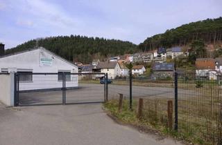 Gewerbeimmobilie mieten in 66976 Rodalben, 66976 beste Anbindung: 500 -2000qm für Gewerbe / Landw / Forst / Holzhandel / Lager