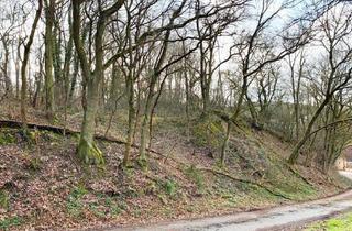 Gewerbeimmobilie kaufen in 55546 Tiefenthal, Waldgrundstück im Kreis Bad Kreuznach zu verkaufen