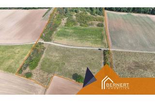 Gewerbeimmobilie kaufen in 96247 Michelau, Attraktive Land- und Forstwirtschaftsfläche – Investition in Grund und Boden