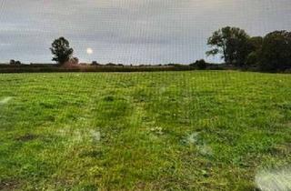 Gewerbeimmobilie kaufen in 26452 Sande, Gewerbeflächen zu verkaufen auch einzeln in 26452 Sande Friesland (Rohbauland)