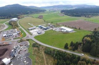 Gewerbeimmobilie kaufen in Riedweg, 78607 Talheim, Gewerbegebiet Talheim Ried-West