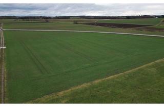 Gewerbeimmobilie kaufen in 86947 Weil, Kleine Ackerfläche "Nahe Landsberg" mit guter Zufahrt