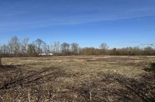 Gewerbeimmobilie kaufen in 15749 Mittenwalde, Voll erschlossenes Gewerbegrundstück zum Kauf in Mittenwalde