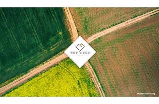 Gewerbeimmobilie kaufen in 65462 Ginsheim-Gustavsburg, ☀️ Mainspitze | Landwirtschaftliche Flächen | ca. 6 Hektar