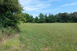 Gewerbeimmobilie kaufen in 86925 Fuchstal, Wiese mit kleinem Baumbestand zwischen Seestall und Dornstetten