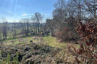 Gewerbeimmobilie kaufen in 53902 Bad Münstereifel, Großes Grundstück zur landwirtschaftlichen Nutzung mit Fernblick im Höhengebiet von Bad Münstereifel