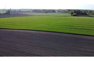 Gewerbeimmobilie kaufen in 86695 Allmannshofen, Rechteckige Wiese in Allmannshofen