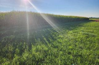 Gewerbeimmobilie kaufen in 86925 Fuchstal, NEU! Bestes Ackerland - ideal für Landwirte!