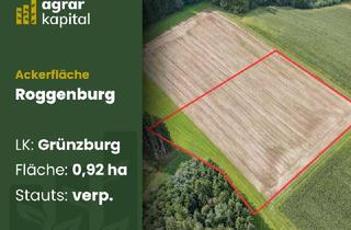 Gewerbeimmobilie kaufen in 89297 Roggenburg, Landwirtschaftliche Fläche bei Roggenburg/Meßhofen - Nutzfläche mit Süd-Ost-Neigung