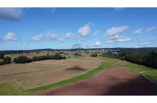 Gewerbeimmobilie kaufen in 74821 Mosbach, INDUSTRIEAUSGLEICHSFLÄCHE ODER LANDWIRTSCHAFT