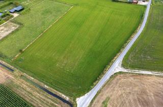 Gewerbeimmobilie kaufen in 47906 Kempen, Ackerlandparzelle mit guter Erschließung in Kempen-Schmalbroich