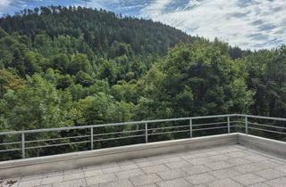 Wohnung mieten in 75378 Bad Liebenzell, 2,5-Zimmer-Wohnung mit großer Terrasse, Klimatisierung, Wärmepumpe und Garage in Bad Liebenzell