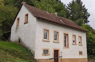 Haus kaufen in 67749 Nerzweiler, Mit handwerklichem Geschick ins Eigenheim